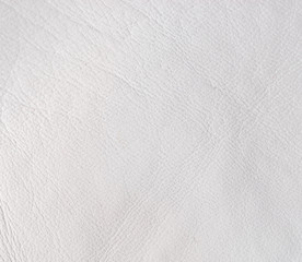 White leather texture