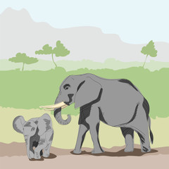 the elephant and the baby elephant. vector illustration