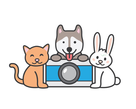 Modern Pet Photography Logo
