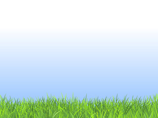 Summer field with fresh green grass and blue sky. Natural vector background 