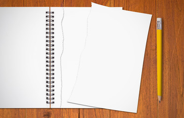 Torn Paper and Yellow Pencil