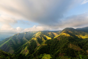 Rice terraces