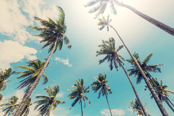Fototapeta premium Tropical beach
