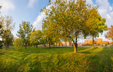Fototapeta premium Colorful autumn trees. Autumn city landscape. Panorama.