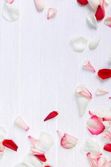 Petals of roses on white painted rustic background. Fresh natural flowers. Romantic design. Dirty grunge wooden board.
