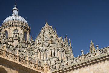 Fototapeta na wymiar Salamanca (Spain): historic cathedral