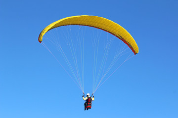 Paraglider