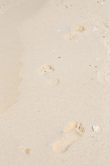 Copy space of footprint on sand beach texture background. Summer vacation