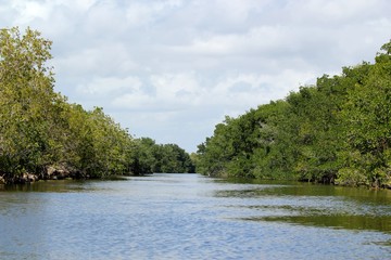 Fototapeta na wymiar Kanäle im Everglades Nationalpark
