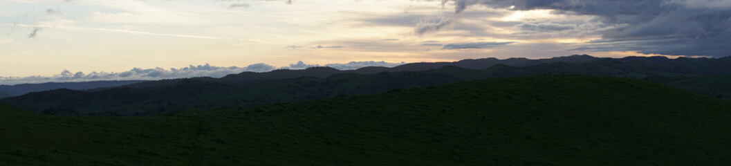 Landscape view of country vineyard agricultural fields in California