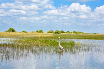 Poster de jardin Nature Zone humide de Floride, balade en hydroglisseur au parc national des Everglades aux États-Unis.