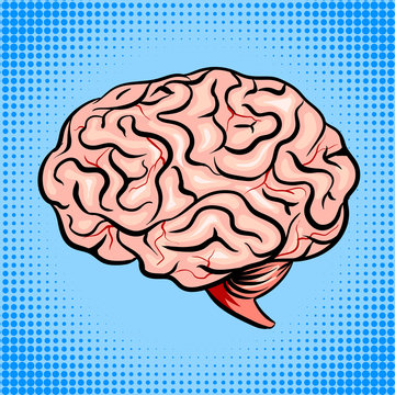Human brain pop art style vector illustration