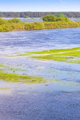 flood of the river on the meadow