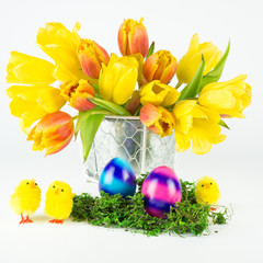 Ein Strauß roter und gelber Tulpen mit zwei Ostereiern und drei kleinen Küken auf grünem Moos, isoliert auf weißem Hintergrund, quadratisch