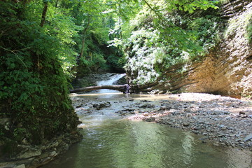 wood over a mountain stream