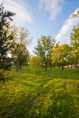 Naklejka premium Colorful autumn trees. Autumn city landscape.