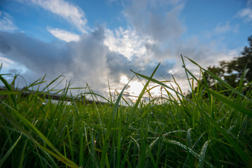 Fototapeta premium Morning landscape in the city. Beautiful sky with massive clouds.