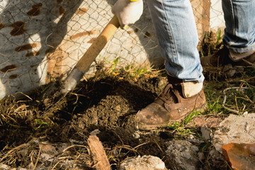 Man with a shovel, digging the soil 