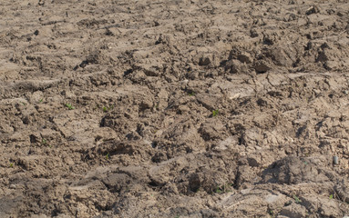 The close up of dug and loosened soil. Dug ground background. Agriculture.