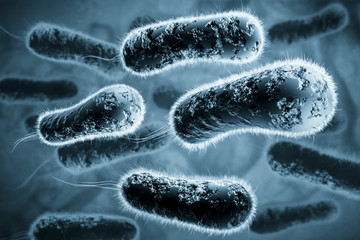 Digital 3D illustration of bacteria