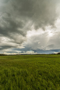 Wheat fields. Sunny summer landscape. Beautiful massive clouds. Stormy clouds. © nikwaller