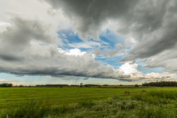 Fototapeta na wymiar Wheat fields. Sunny summer landscape. Beautiful massive clouds. Stormy clouds.