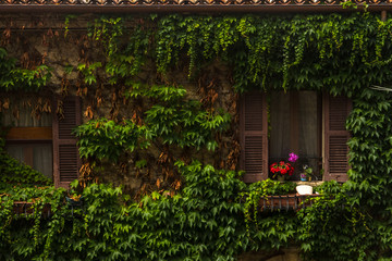 Fototapeta na wymiar Italy window flowers