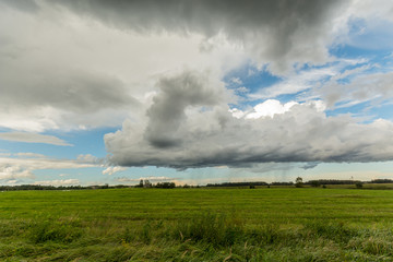 Naklejka na ściany i meble Wheat fields. Sunny summer landscape. Beautiful massive clouds. Stormy clouds.
