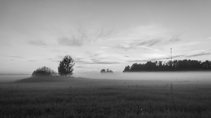 Green field at dusk with fog or mist. Nature landscape panorama.