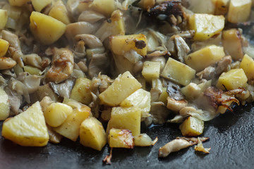 Mushrooms with potatoes