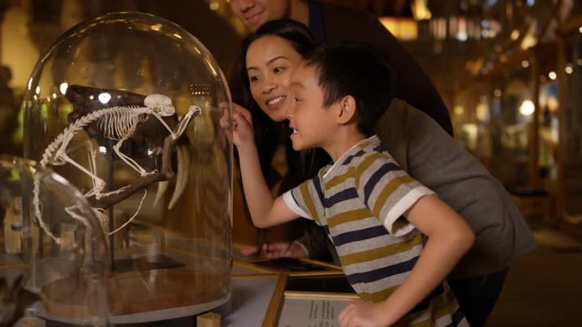  Asian family in natural history museum looking at a skeleton inside glass jar