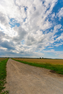 Country road among green and yellow fields. Nature landscape. Big massive clouds.