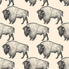Seamless pattern with Bison. © marinavorona