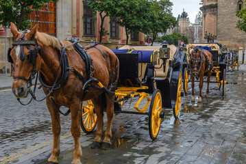 Naklejka na ściany i meble Horse-drawn carriages in Seville, Spain
