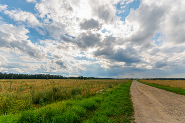 Fototapeta na wymiar Country road among green and yellow fields. Nature landscape. Big massive clouds.