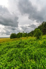 Fototapeta na wymiar Green autumn fields with massive stormy clouds. Nature landscape. 