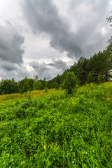 Green autumn fields with massive stormy clouds. Nature landscape. 