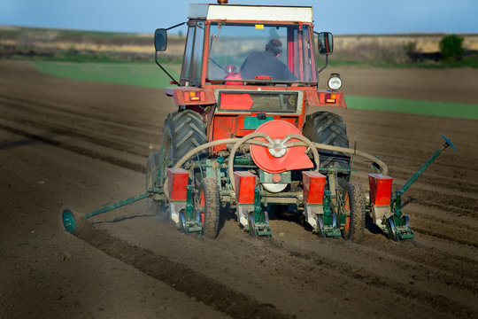 Tractor sowing corn seeds in spring