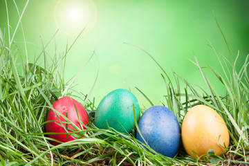 colored eggs in the grass