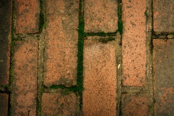 dirty vertical brick floor with mos