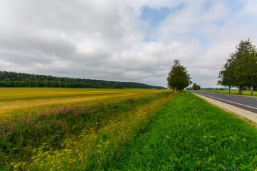 Green autumn fields with massive stormy clouds. Nature landscape. 