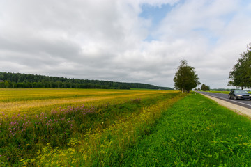 Obraz premium Green autumn fields with massive stormy clouds. Nature landscape. 