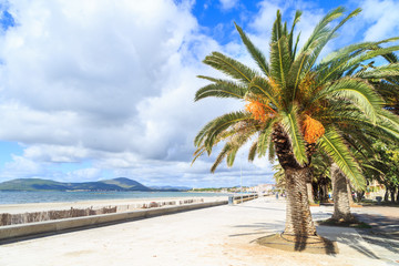 A shore of Alghero, Sardinia, Italy