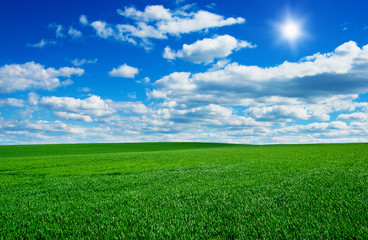 Image of green grass field and bright blue sky