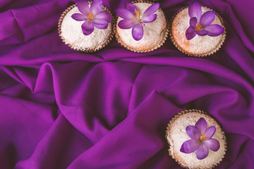 Muffins decorated with crocus flower on purple background..Spring. Top view. Copy space