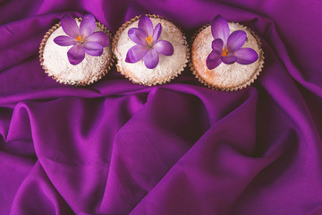 Muffins decorated with crocus flower on purple background..Spring. Top view. Copy space