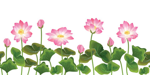 Lotus flower seamless pattern. Vector illustration.