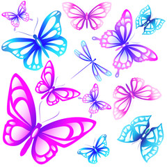 Obraz na płótnie Canvas beautiful butterflies, isolated on a white