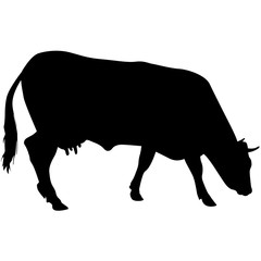 Black silhouette of cash cow on white background
