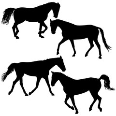 Set silhouette of black mustang horse vector illustration